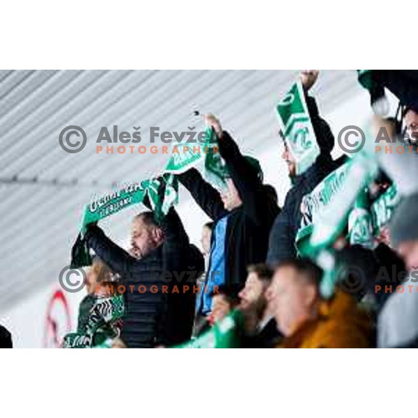 Fans of SZ Olimpija prior to IceHL hockey match between SZ Olimpija and Hydro Fehervar AV19 in Ljubljana, Slovenia on Decemeber 22, 2024. Photo: Filip Barbalic