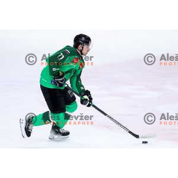 Bine Masic of SZ Olimpija in action during IceHL hockey match between SZ Olimpija and Hydro Fehervar AV19 in Ljubljana, Slovenia on Decemeber 22, 2024. Photo: Filip Barbalic