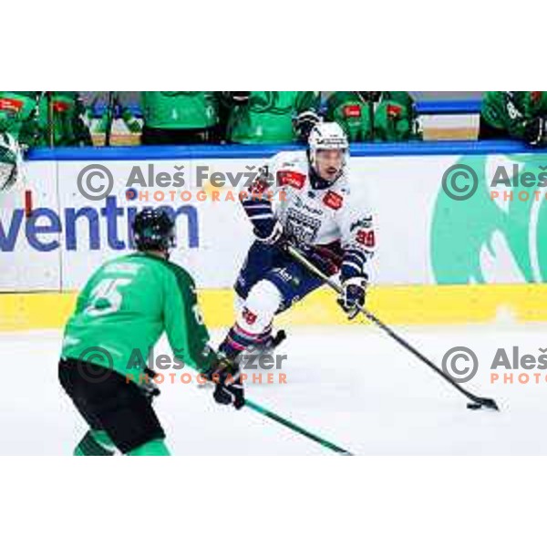 Trevor Cheek of Hydro Fehervar AV19 in action during IceHL hockey match between SZ Olimpija and Hydro Fehervar AV19 in Ljubljana, Slovenia on Decemeber 22, 2024. Photo: Filip Barbalic