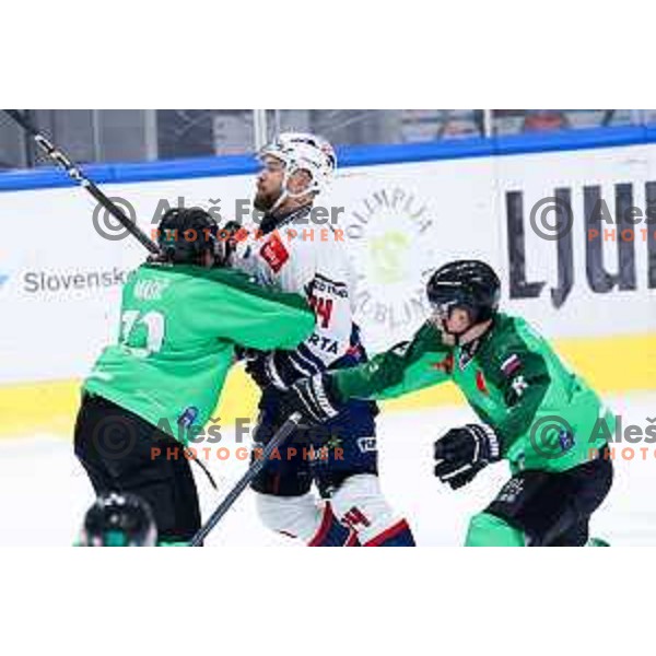 Bine Masic of SZ Olimpija and Istvan Terbocs of Hydro Fehervar AV19 in action during IceHL hockey match between SZ Olimpija and Hydro Fehervar AV19 in Ljubljana, Slovenia on Decemeber 22, 2024. Photo: Filip Barbalic