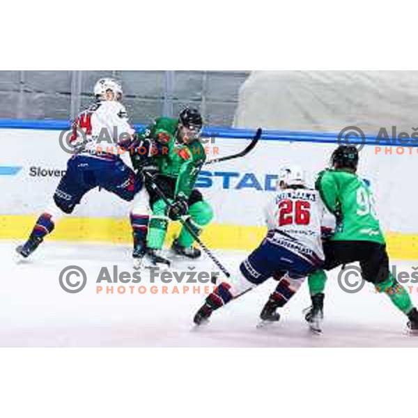 Bine Masic of SZ Olimpija in action during IceHL hockey match between SZ Olimpija and Hydro Fehervar AV19 in Ljubljana, Slovenia on Decemeber 22, 2024. Photo: Filip Barbalic