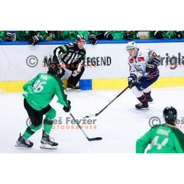 Csongor Ambrus of Hydro Fehervar AV19 in action during IceHL hockey match between SZ Olimpija and Hydro Fehervar AV19 in Ljubljana, Slovenia on Decemeber 22, 2024. Photo: Filip Barbalic