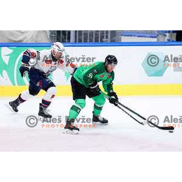 Robert Sabolic of SZ Olimpija in action during IceHL hockey match between SZ Olimpija and Hydro Fehervar AV19 in Ljubljana, Slovenia on Decemeber 22, 2024. Photo: Filip Barbalic
