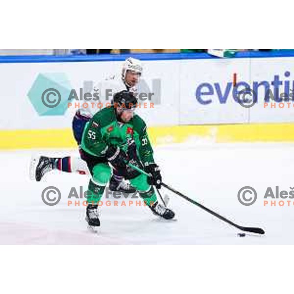 Robert Sabolic of SZ Olimpija in action during IceHL hockey match between SZ Olimpija and Hydro Fehervar AV19 in Ljubljana, Slovenia on Decemeber 22, 2024. Photo: Filip Barbalic