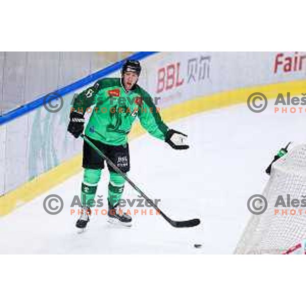 Robert Sabolic of SZ Olimpija in action during IceHL hockey match between SZ Olimpija and Hydro Fehervar AV19 in Ljubljana, Slovenia on Decemeber 22, 2024. Photo: Filip Barbalic