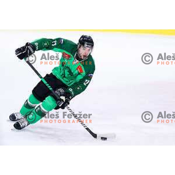 Bine Masic of SZ Olimpija in action during IceHL hockey match between SZ Olimpija and Hydro Fehervar AV19 in Ljubljana, Slovenia on Decemeber 22, 2024. Photo: Filip Barbalic