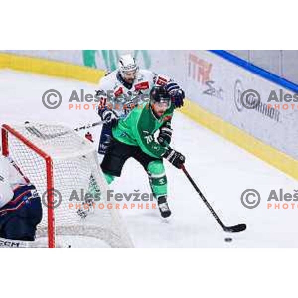 Rok Kapel of SZ Olimpija in action during IceHL hockey match between SZ Olimpija and Hydro Fehervar AV19 in Ljubljana, Slovenia on Decemeber 22, 2024. Photo: Filip Barbalic