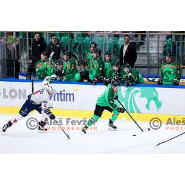 in action during IceHL hockey match between SZ Olimpija and Hydro Fehervar AV19 in Ljubljana, Slovenia on Decemeber 22, 2024. Photo: Filip Barbalic