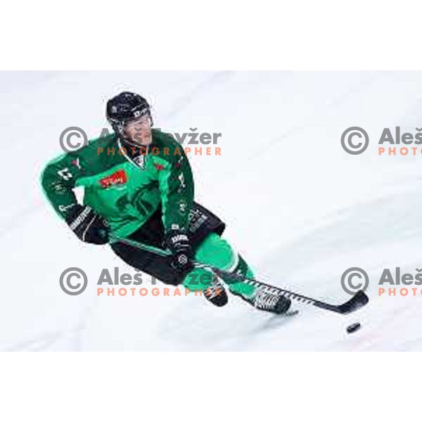 Jaka Sodja of SZ Olimpija in action during IceHL hockey match between SZ Olimpija and Hydro Fehervar AV19 in Ljubljana, Slovenia on Decemeber 22, 2024. Photo: Filip Barbalic