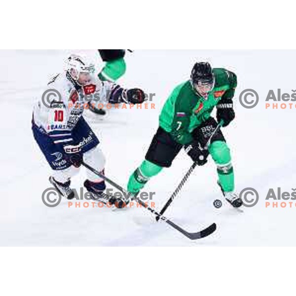 Dale Ege Wyatt of SZ Olimpija in action during IceHL hockey match between SZ Olimpija and Hydro Fehervar AV19 in Ljubljana, Slovenia on Decemeber 22, 2024. Photo: Filip Barbalic
