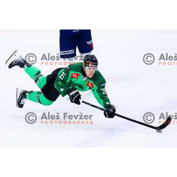 Jaka Sodja of SZ Olimpija in action during IceHL hockey match between SZ Olimpija and Hydro Fehervar AV19 in Ljubljana, Slovenia on Decemeber 22, 2024. Photo: Filip Barbalic