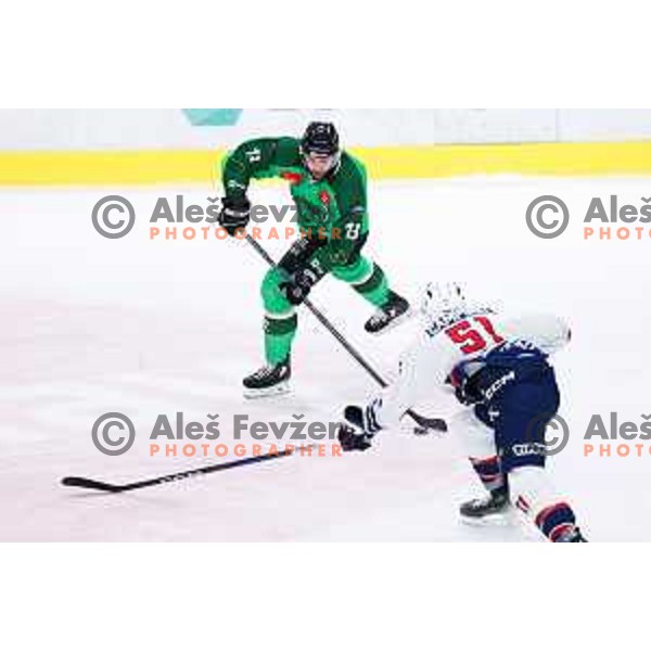 Ziga Pance of SZ Olimpija in action during IceHL hockey match between SZ Olimpija and Hydro Fehervar AV19 in Ljubljana, Slovenia on Decemeber 22, 2024. Photo: Filip Barbalic