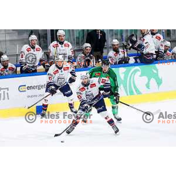 Akos Mihaly of Hydro Fehervar AV19 in action during IceHL hockey match between SZ Olimpija and Hydro Fehervar AV19 in Ljubljana, Slovenia on Decemeber 22, 2024. Photo: Filip Barbalic