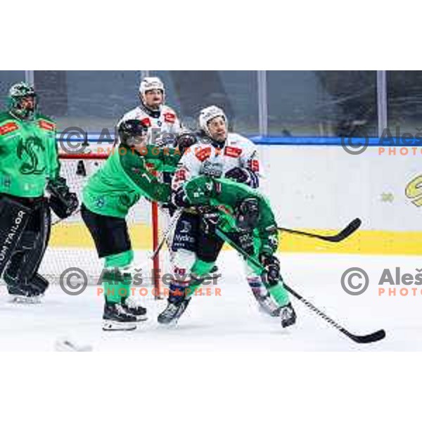 Trevor Cheek of Hydro Fehervar AV19 in action during IceHL hockey match between SZ Olimpija and Hydro Fehervar AV19 in Ljubljana, Slovenia on Decemeber 22, 2024. Photo: Filip Barbalic