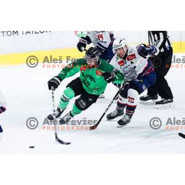 Nik Simsic of SZ Olimpija in action during IceHL hockey match between SZ Olimpija and Hydro Fehervar AV19 in Ljubljana, Slovenia on Decemeber 22, 2024. Photo: Filip Barbalic