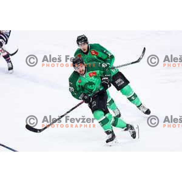 Rok Kapel of SZ Olimpija in action during IceHL hockey match between SZ Olimpija and Hydro Fehervar AV19 in Ljubljana, Slovenia on Decemeber 22, 2024. Photo: Filip Barbalic