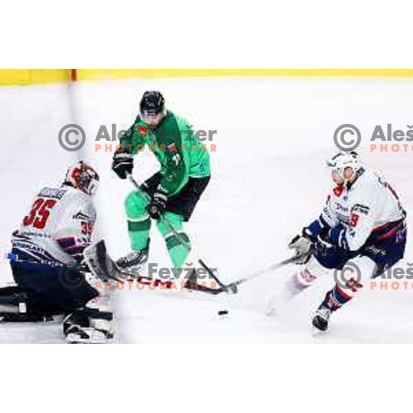 Ziga Pance of SZ Olimpija in action during IceHL hockey match between SZ Olimpija and Hydro Fehervar AV19 in Ljubljana, Slovenia on Decemeber 22, 2024. Photo: Filip Barbalic