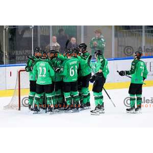 Players of SZ Olimpija celebrate win in IceHL hockey match between SZ Olimpija and Hydro Fehervar AV19 in Ljubljana, Slovenia on Decemeber 22, 2024. Photo: Filip Barbalic