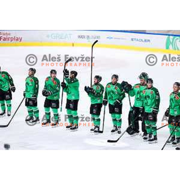 Players of SZ Olimpija celebrate win in IceHL hockey match between SZ Olimpija and Hydro Fehervar AV19 in Ljubljana, Slovenia on Decemeber 22, 2024. Photo: Filip Barbalic