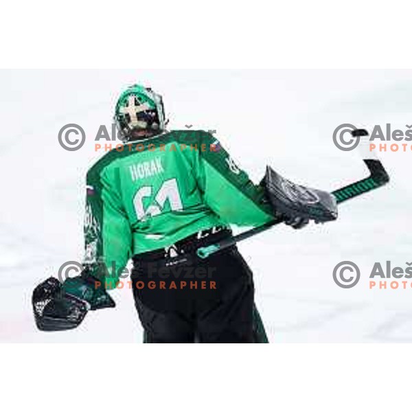 Lukas Horak of SZ Olimpija after IceHL hockey match between SZ Olimpija and Hydro Fehervar AV19 in Ljubljana, Slovenia on Decemeber 22, 2024. Photo: Filip Barbalic