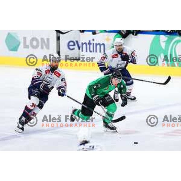 Marcel Mahkovec of SZ Olimpija in action during IceHL hockey match between SZ Olimpija and Hydro Fehervar AV19 in Ljubljana, Slovenia on Decemeber 22, 2024. Photo: Filip Barbalic