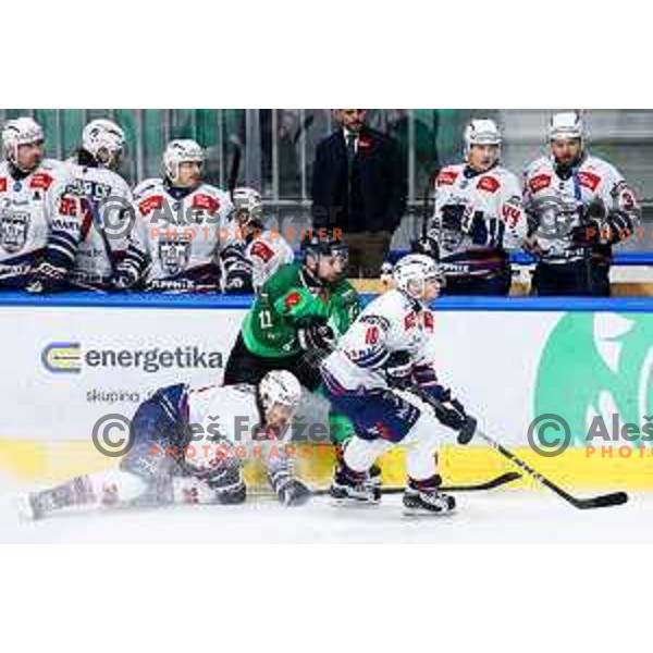 Nik Simsic of SZ Olimpija in action during IceHL hockey match between SZ Olimpija and Hydro Fehervar AV19 in Ljubljana, Slovenia on Decemeber 22, 2024. Photo: Filip Barbalic