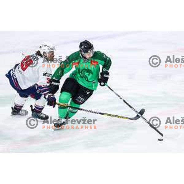 Dale Ege Wyatt of SZ Olimpija in action during IceHL hockey match between SZ Olimpija and Hydro Fehervar AV19 in Ljubljana, Slovenia on Decemeber 22, 2024. Photo: Filip Barbalic