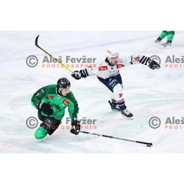 Dale Ege Wyatt of SZ Olimpija in action during IceHL hockey match between SZ Olimpija and Hydro Fehervar AV19 in Ljubljana, Slovenia on Decemeber 22, 2024. Photo: Filip Barbalic
