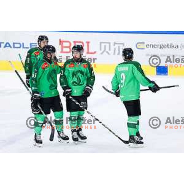 Nik Simsic of SZ Olimpija in action during IceHL hockey match between SZ Olimpija and Hydro Fehervar AV19 in Ljubljana, Slovenia on Decemeber 22, 2024. Photo: Filip Barbalic