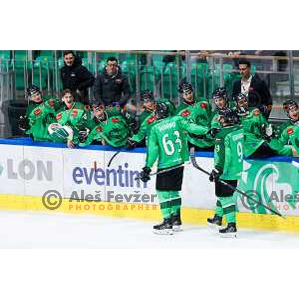 Nick Bonino and players of SZ Olimpija celebrate goal during IceHL hockey match between SZ Olimpija and Hydro Fehervar AV19 in Ljubljana, Slovenia on Decemeber 22, 2024. Photo: Filip Barbalic