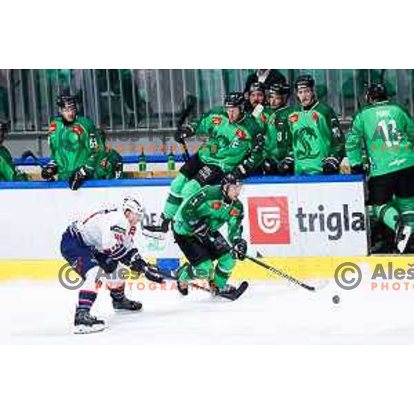 Bine Masic of SZ Olimpija in action during IceHL hockey match between SZ Olimpija and Hydro Fehervar AV19 in Ljubljana, Slovenia on Decemeber 22, 2024. Photo: Filip Barbalic