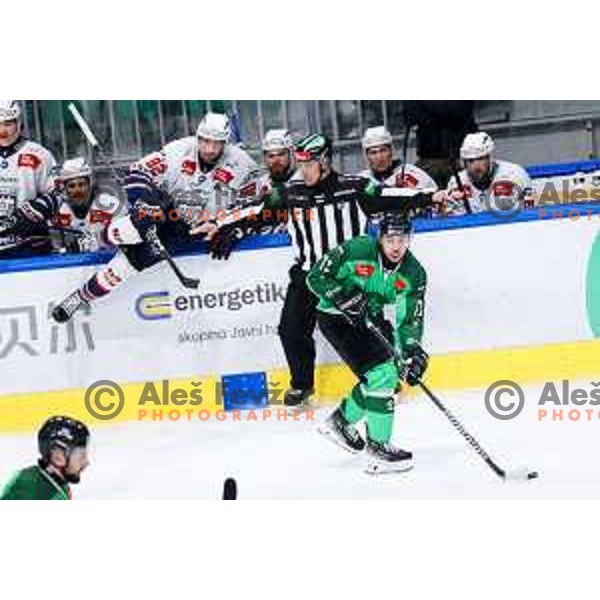 Bine Masic of SZ Olimpija in action during IceHL hockey match between SZ Olimpija and Hydro Fehervar AV19 in Ljubljana, Slovenia on Decemeber 22, 2024. Photo: Filip Barbalic