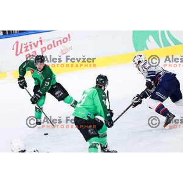 Bine Masic of SZ Olimpija in action during IceHL hockey match between SZ Olimpija and Hydro Fehervar AV19 in Ljubljana, Slovenia on Decemeber 22, 2024. Photo: Filip Barbalic