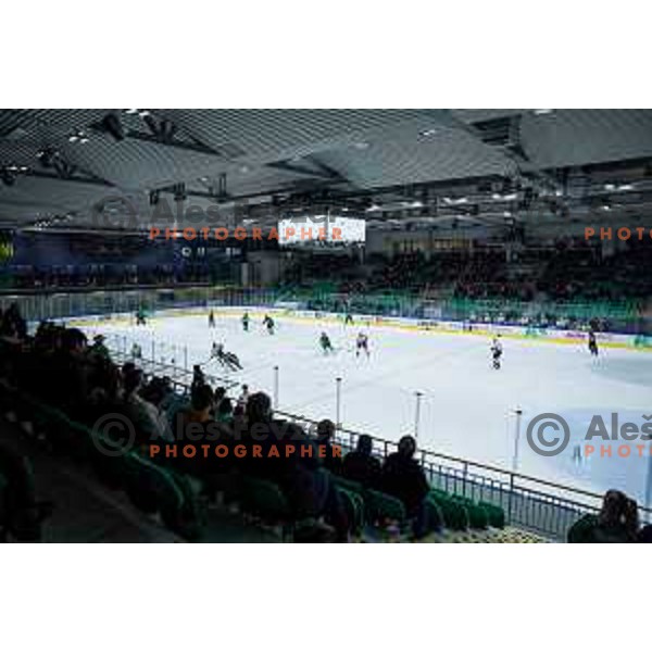 Hala Tivoli during IceHL hockey match between SZ Olimpija and Hydro Fehervar AV19 in Ljubljana, Slovenia on Decemeber 22, 2024. Photo: Filip Barbalic