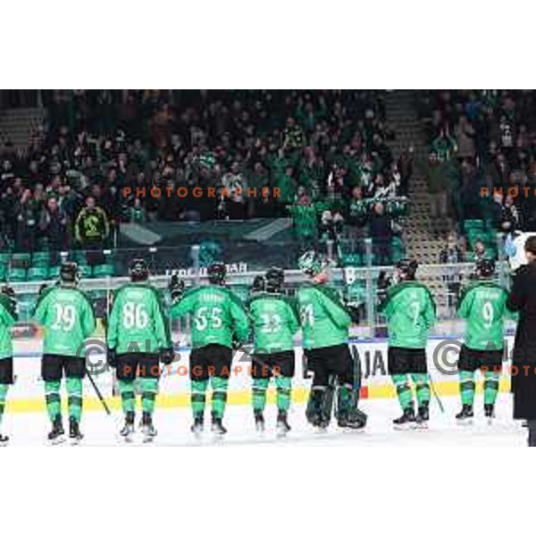 in action during IceHL match between SZ Olimpija and Vienna Capitals in Ljubljana, Slovenia on December 30, 2024