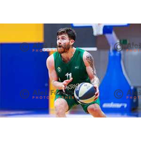 Tayler Persons in action during OTP Bank League 2024/2025 basketball match between Kansai Helios and Krka in Domzale, Slovenia on January 2, 2025