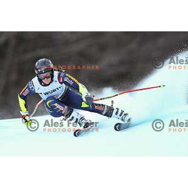 Sara Hector (SWE) skiing in the first run of Audi FIS Ski World Cup Women Giant Slalom in Kranjska Gora, Slovenia on January 4, 2025