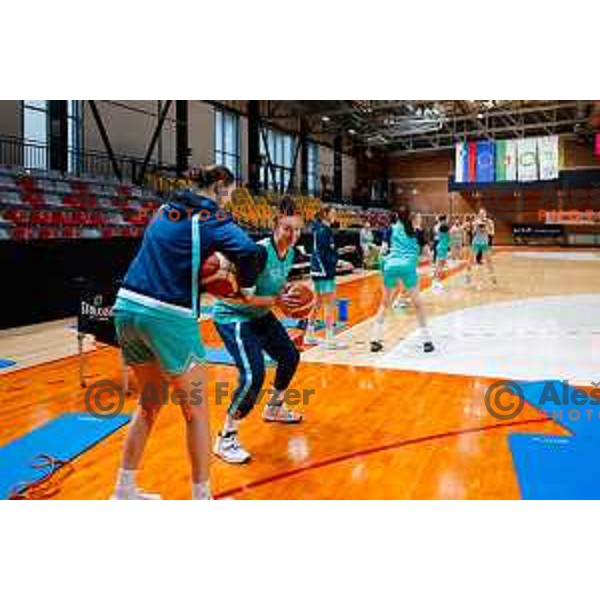 Ajsa Sivka and Jessica Shepard of Slovenia Women’s National Basketball Team during practice session in Ljubljana, Slovenia on February 3, 2025