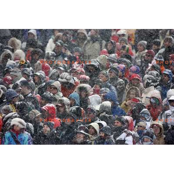 Crowd in the snow