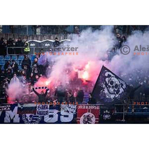 Maribor supporters Viole during Prva liga Telemach football match between Celje and Maribor in Stadion z’dezele, Celje, Slovenia on February 8, 2025. Photo: Jure Banfi