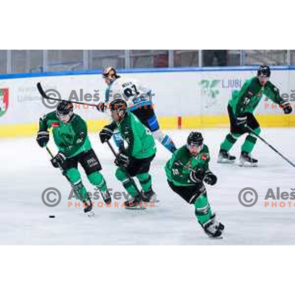 in action during IceHL regular season 2024/2025 ice-hockey match between SZ Olimpija and Black Wings Linz in Ljubljana, Slovenia on February 14, 2025