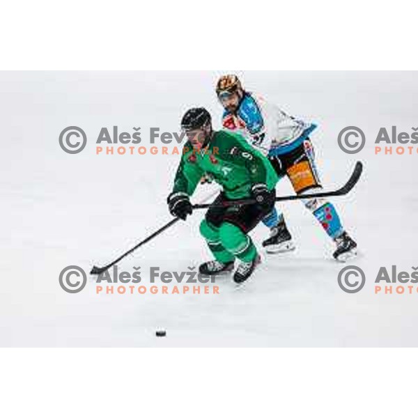 Kale Kerbashian in action during IceHL regular season 2024/2025 ice-hockey match between SZ Olimpija and Black Wings Linz in Ljubljana, Slovenia on February 14, 2025