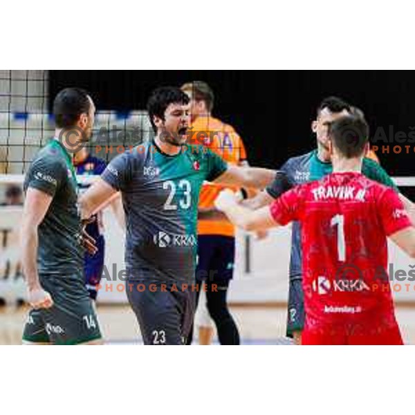 In action during 1.DOL Sportklub League match between ACH Volley and Krka in Tivoli Hall, Ljubljana, Slovenia on February 14, 2025