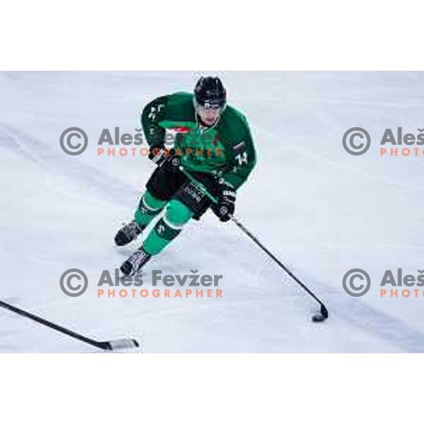 in action during IceHL regular season 2024/2025 ice-hockey match between SZ Olimpija and VSV in Ljubljana, Slovenia on February 16, 2025