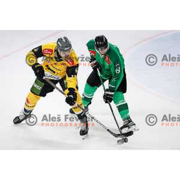 during IceHL regular season 2024/2025 ice-hockey match between SZ Olimpija and HC Pustertal Wolfe in Ljubljana, Slovenia on February 16, 2025
