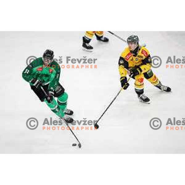 Ziga Pance of HK SZ Olimpija during IceHL regular season 2024/2025 ice-hockey match between SZ Olimpija and HC Pustertal Wolfe in Ljubljana, Slovenia on February 16, 2025