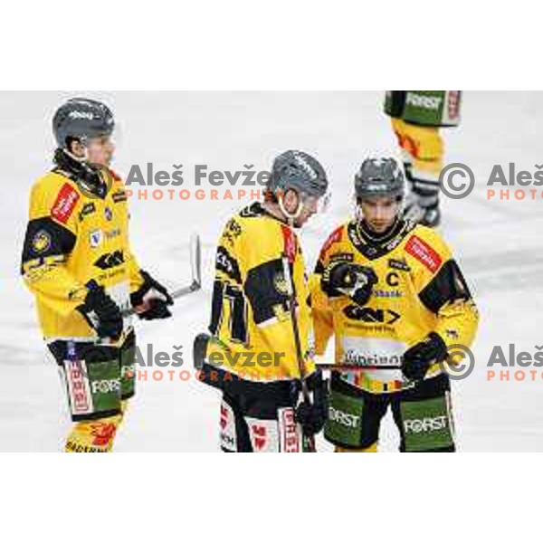 during IceHL regular season 2024/2025 ice-hockey match between SZ Olimpija and HC Pustertal Wolfe in Ljubljana, Slovenia on February 16, 2025