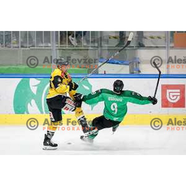 Kale Kerbashian of HK SZ Olimpija during IceHL regular season 2024/2025 ice-hockey match between SZ Olimpija and HC Pustertal Wolfe in Ljubljana, Slovenia on February 16, 2025