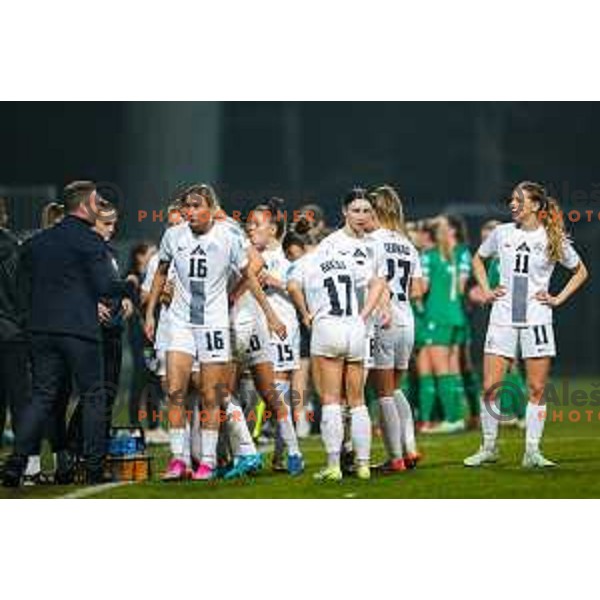 In action during UEFA Women\'s Nations League football match between Slovenia and Republic of Ireland at Bonifika Stadium in Koper, Slovenia on February 25, 2025