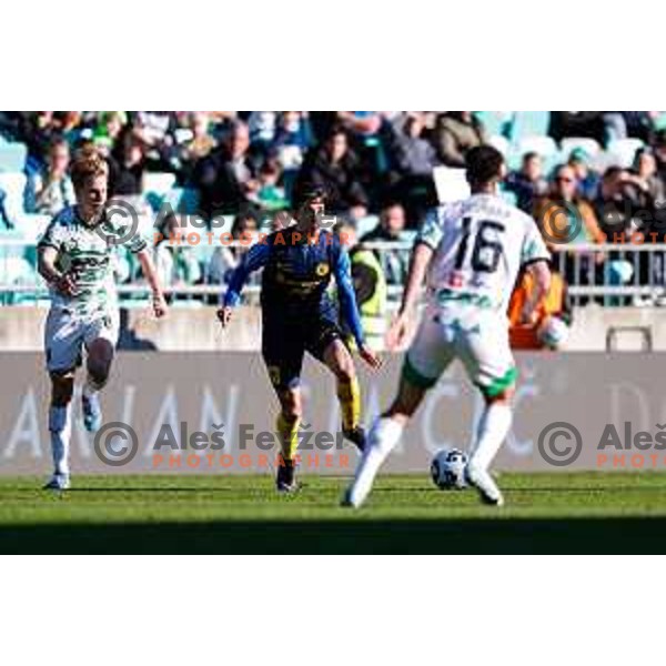 during Prva liga Telemach 2024/2025 football match between Olimpija and Celje in Ljubljana, Slovenia on March 2, 2025